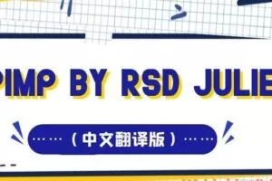 PIMP by RSD Julien（中文翻译）