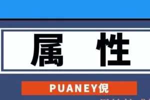 PUANEY倪《属性》