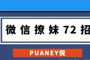 PUANEY倪《微信撩妹72招》电子书
