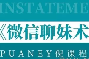 PUANEY倪《微信聊妹术》