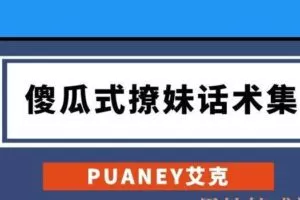 PUANEY艾克-傻瓜式撩妹话术集