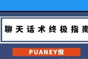 puaney倪《聊天话术终极指南》