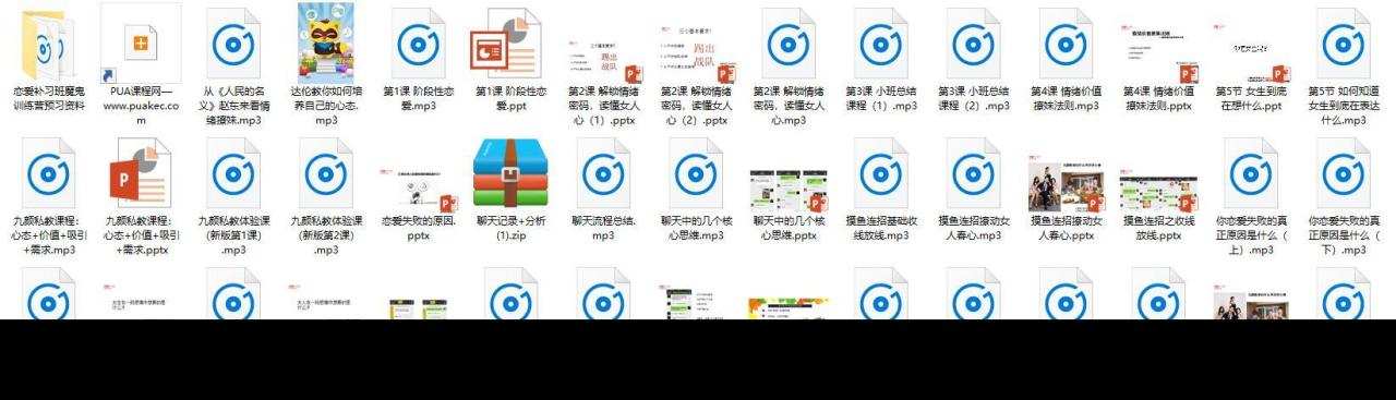 恋爱课程《九颜私教》