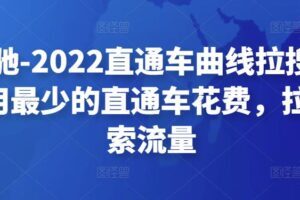 周心驰-2022直通车曲线拉搜索1.0，用最少的直通车花费，拉爆搜索流量