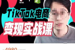 TikTok电商学长Ethan·TikTok电商变现实战课，TikTok运营+Shopify独立站运营+TikTok广告投放