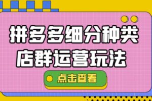 拼多多细分种类店群运营玩法3.0，11月最新玩法，小白也可以操作