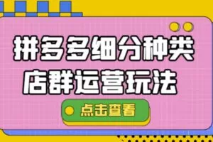 拼多多细分种类店群运营玩法3.0，11月最新玩法，小白也可以操作