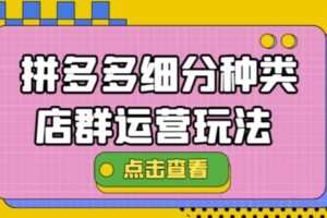 拼多多细分种类店群运营玩法3.0，11月最新玩法，小白也可以操作