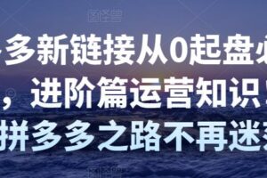 拼多多新链接从0起盘必须掌握，进阶篇运营知识！让你拼多多之路不再迷茫