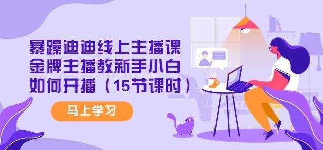 暴躁迪迪线上主播课，金牌主播教新手小白如何开播（15节课时）