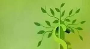 价值十一年的完整交易体系 18文档