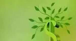 价值十一年的完整交易体系 18文档