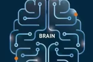 吸星大法-思维模型第4期