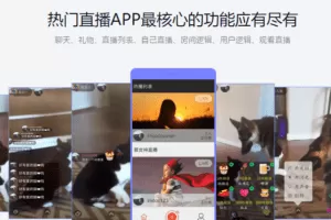 Android互动直播App开发
