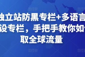 外贸独立站防黑专栏+多语言独立站建设专栏，手把手教你如何赚取全球流量