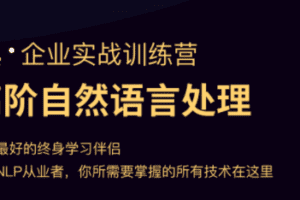 贪心NLP6期 |完结无秘