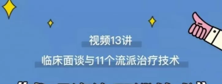 心理咨询面谈技术课理论讲授+案例实录+解释点评视频