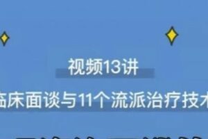 心理咨询面谈技术课理论讲授+案例实录+解释点评视频