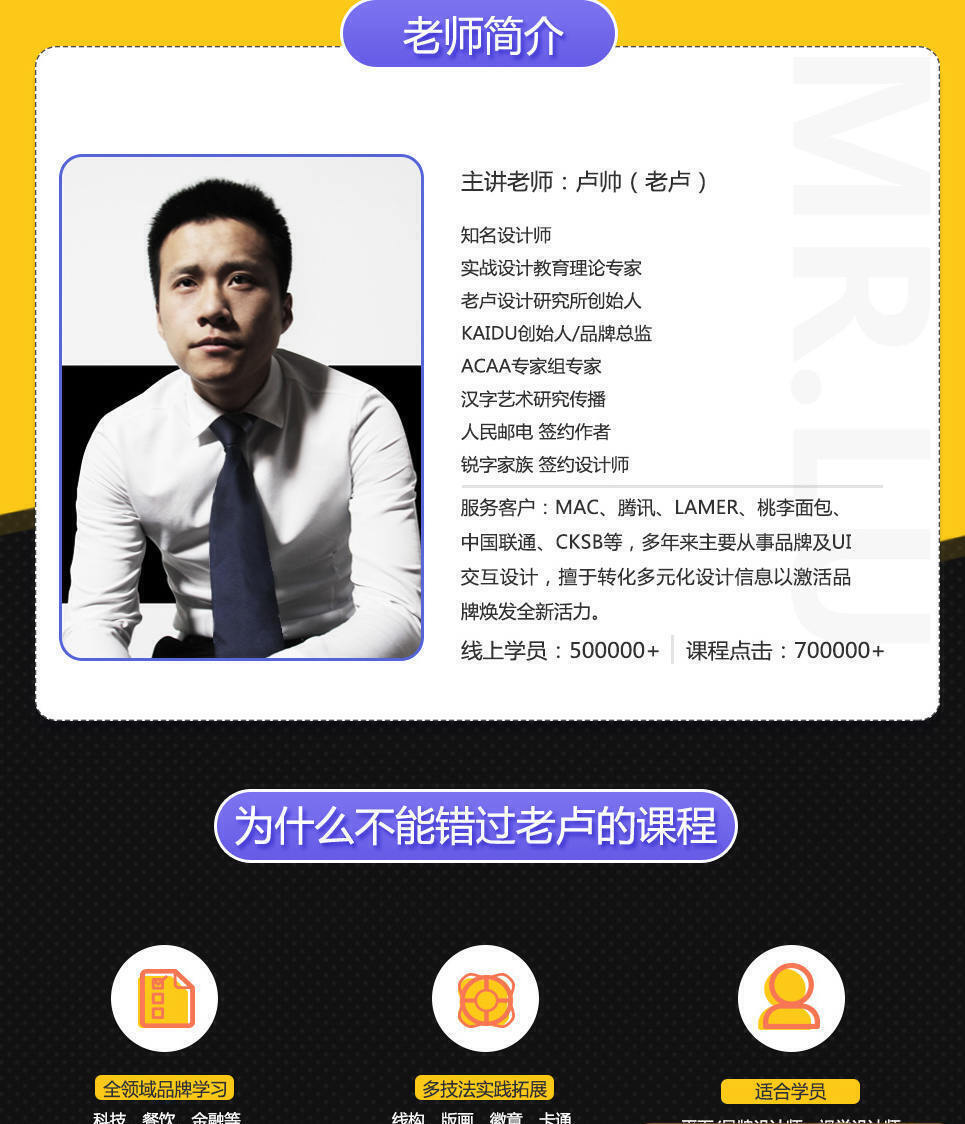 卢帅 商业Logo-Vi特训大师班（画质高清）