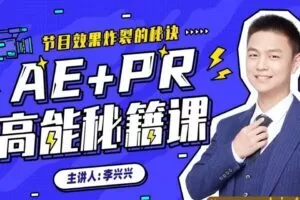 向天歌李兴兴AE+Pr高能秘籍课完整有素材