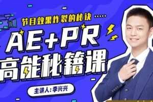 向天歌李兴兴AE+Pr高能秘籍课完整有素材