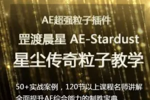 罡渡晨星AE-Stardust星尘粒子教程教学全套AE综合基础教程【全套完整不加密】