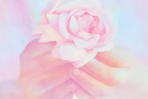 顾佳艺色彩基础班第四期【画质高清】