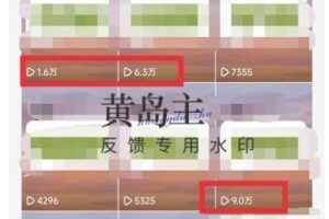 黄岛主副业孵化营第5期：抖音情感中视频变现项目孵化单条视频收益几十上百