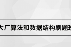 大厂算法和数据结构刷题班