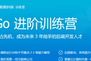 极客大学-go进阶训练营|完结无秘【价值3299元】