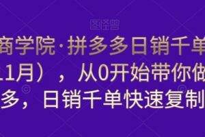 白凤电商学院·拼多多日销千单训练营（更新11月），从0开始带你做好拼多多，日销千单快速复制