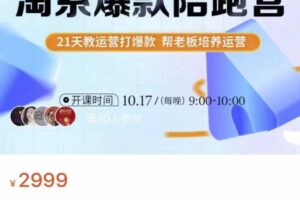 108将淘系爆款陪跑营【第九期】，从淘宝0开始，手把手教你链接起飞，爆款不断