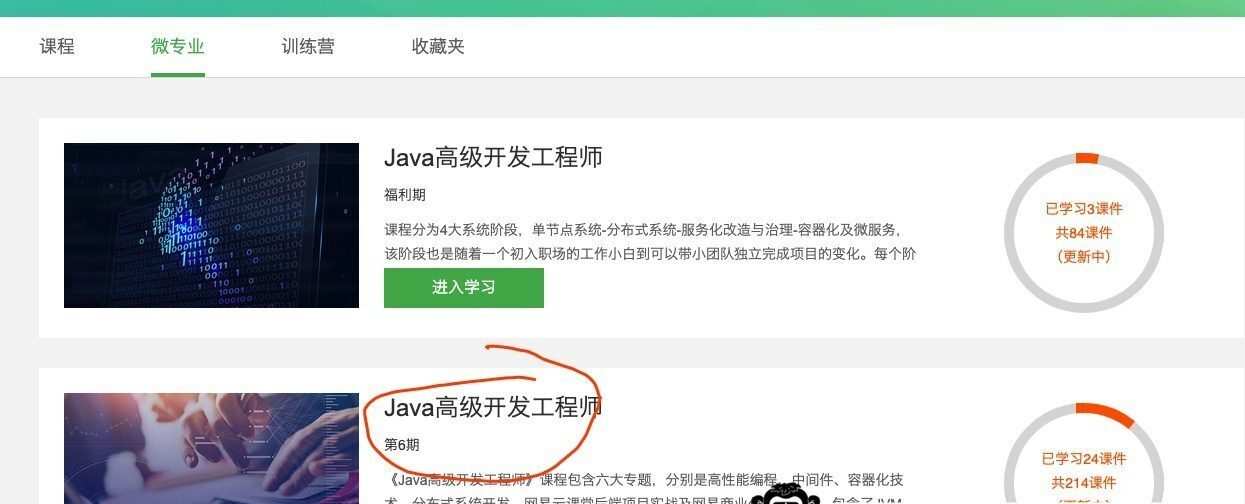 微专业-Java高级开发工程师|课件齐全【价值8399元】|2021年