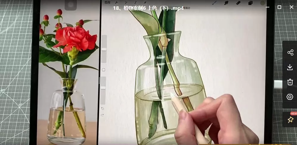 鱼小沫2022年Ipad综合团练植物+少女【画质高清有笔刷】