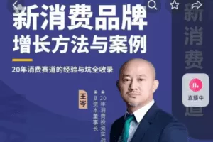 王岑：新消费品牌增长方法与案例（爆款视频课）_王岑3.0
