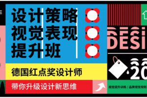 设计策略 视觉表现提升班2020年07月新课（完整不加密画质高清）