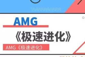 AMG《极速进化》（编号0503375）