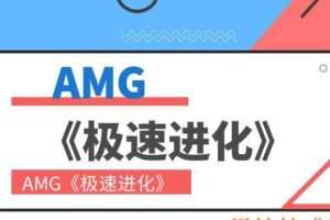 AMG《极速进化》（编号0503375）