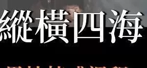 AMG《纵横四海》（编号0503290）