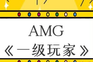 AMG《一級玩家》（编号0503283）