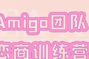 Amigo团队恋商训练营