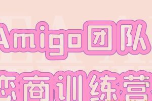 Amigo团队恋商训练营