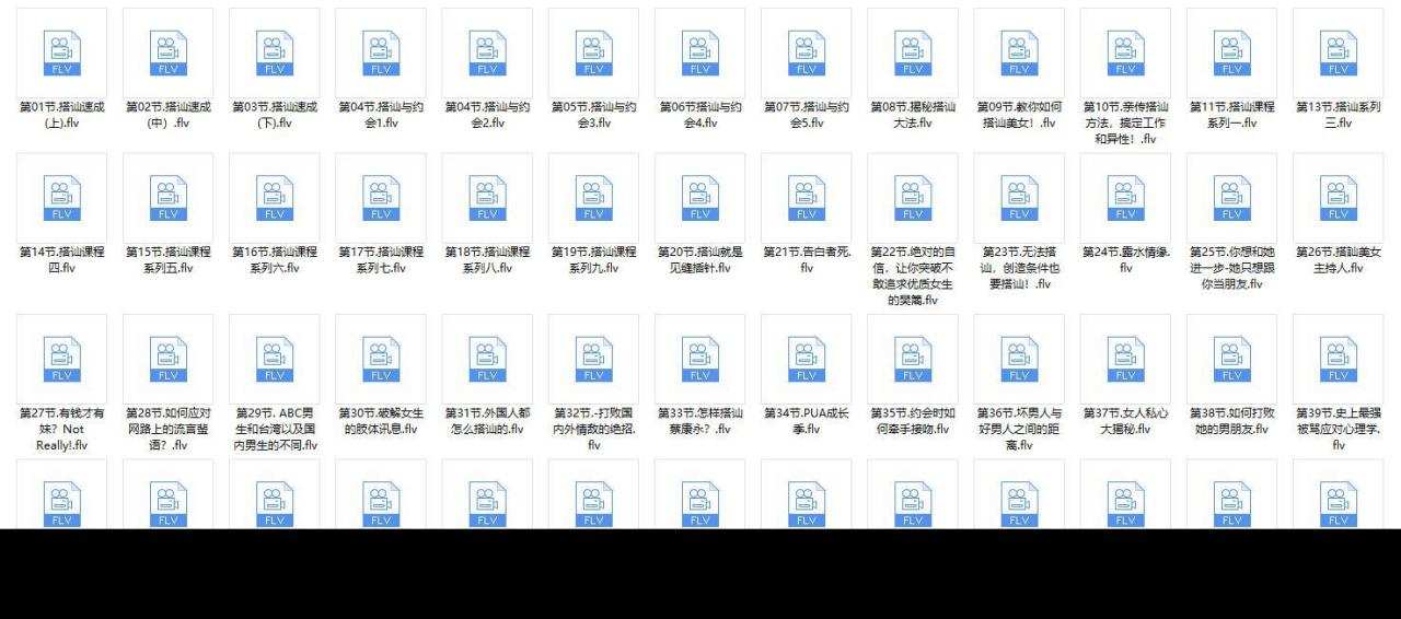 PUA课程《HOTMAN搭讪课程》