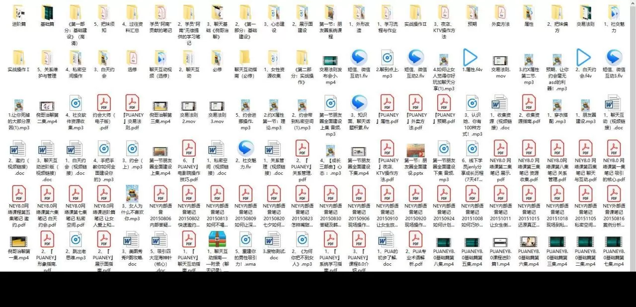 PUA课程《PUANEY8.0》