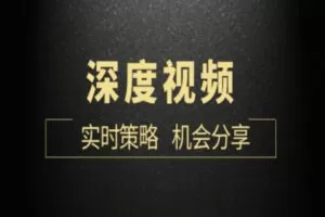 【59.9[红包]·《顺和-博士深度视频（每月更新）12期，包括案例、大机会分享！》】