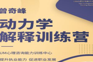 【299[红包]·S1716曾奇峰动力学解释训练营】