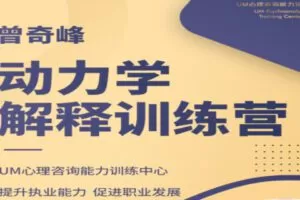 【299[红包]·S1716曾奇峰动力学解释训练营】