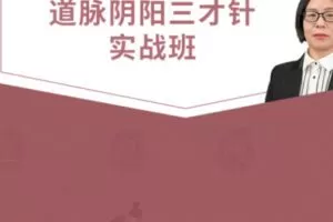 【78[红包]·S1327道脉阴阳三才针实战班（精品课程）】