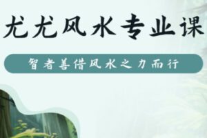 【599[红包]·S1870尤尤风水+数字易经+八字+面相专业课丨四合一】