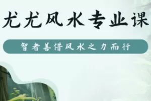 【599[红包]·S1870尤尤风水+数字易经+八字+面相专业课丨四合一】